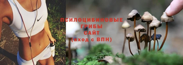 ECSTASY Белокуриха