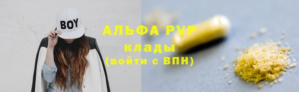 ECSTASY Белокуриха