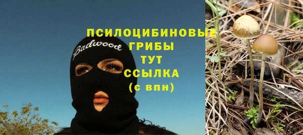 ECSTASY Белокуриха
