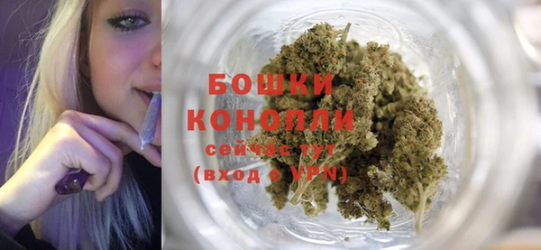 ECSTASY Белокуриха