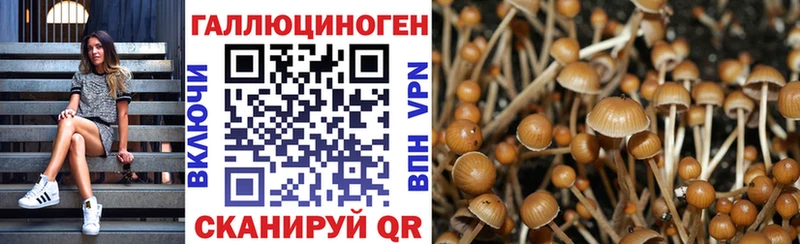 KRAKEN tor  Славгород  Галлюциногенные грибы ЛСД 