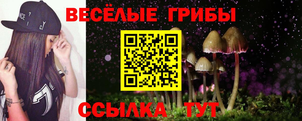 даркнет сайт  Псилоцибиновые грибы ЛСД  Вход с VPN  Славгород 