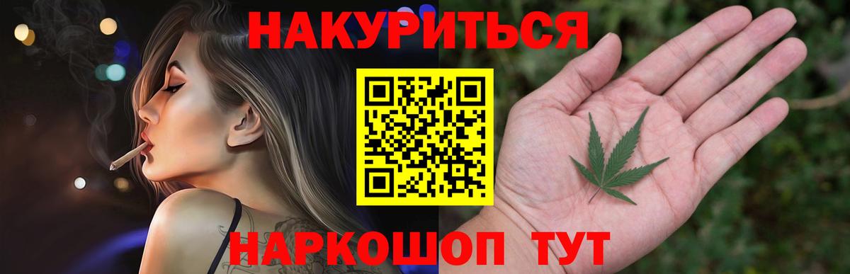 Конопля гибрид Славгород